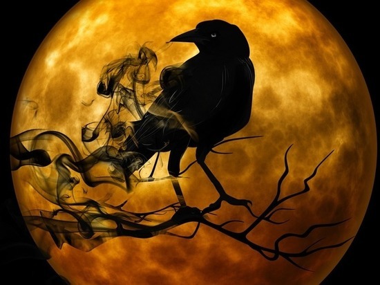 Новосибирская ведьма Голунова научила видеть в птицах мертвых родственников