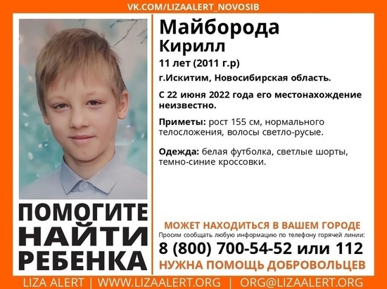 11-летний мальчик из Искитима ушёл из дома в Новосибирской области