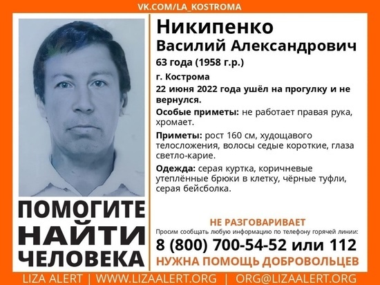 Костромские волонтеры из отряда «Лиза Алерт» разыскивают пожилого немого мужчину