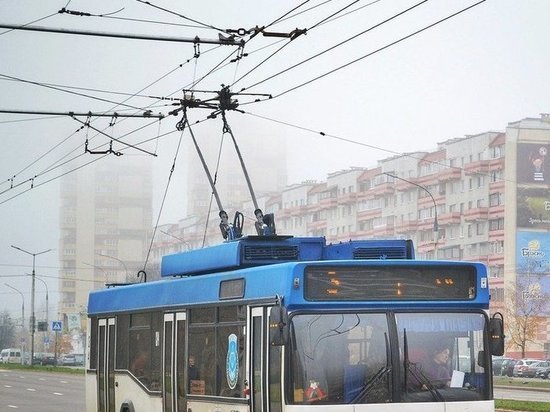 В Воронеже в четверг на линию не вышли троллейбусы
