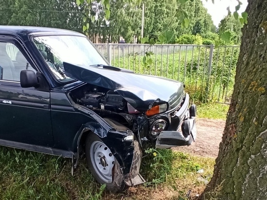 В Старожилове Рязанской области 62-летний мужчина на «Ниве» умер за рулём