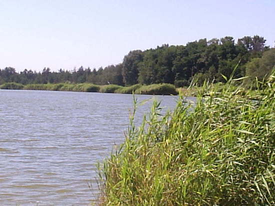 Мужчина спас жену, переплыв самое большое водохранилище в ДНР