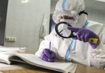 За последние сутки в Москве выявили 246 новых случаев инфицирования коронавирусной инфекцией