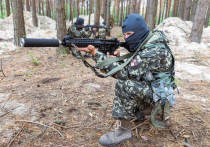 «Украинские войска начинают активно сдаваться в плен»