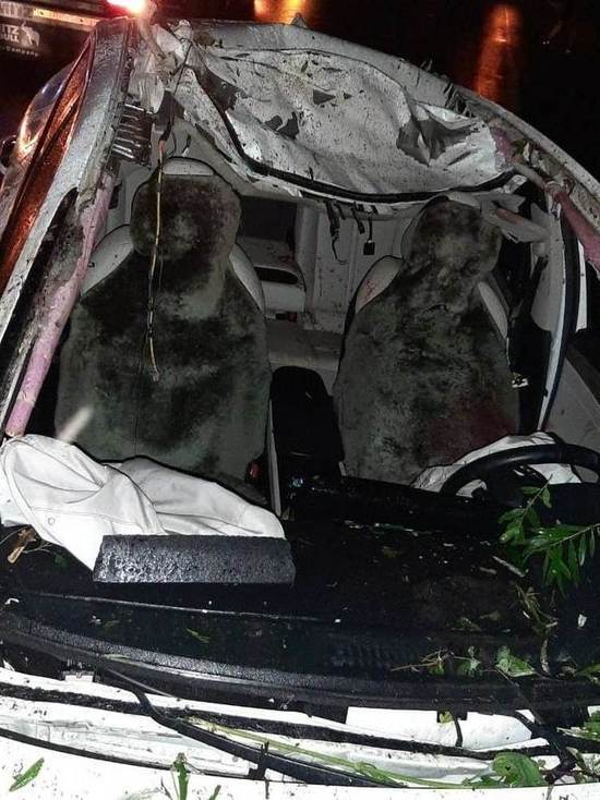 На кузбасской трассе водитель погиб в результате наезда на лося