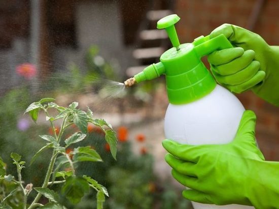 В Россельхознадзоре напомнили,как работать с пестицидами и агрохимикатами