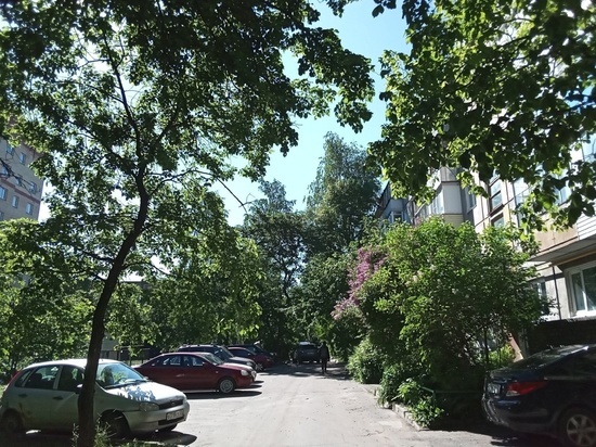 Вологжанам в выходные дни будет жарко