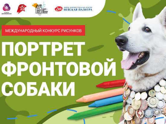Музей Победы пригласил жителей Алтайского края присоединиться к международному конкурсу рисунков «Портрет фронтовой собаки»