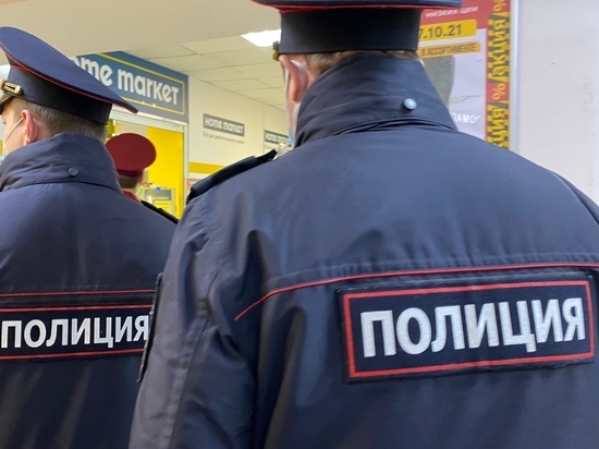 Вор в Смоленске хотел больших денег, а получит большой срок