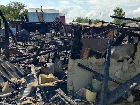 В Нижегородской области зарегистрировано 11 пожаров из-за шалости детей с огнем