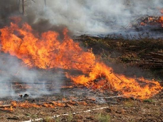 Жители Ростовской области могут получить штрафы за выжигание сухой растительности