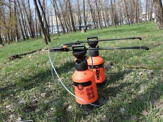 Пляжи в Белгороде обработают от клещей