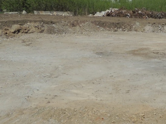 Кости редкого древнего зубра нашли в реке Тобол под Курганом