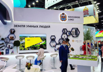 Петербургский международный экономический форум проходил в Северной столице России с 15 по 18 июня