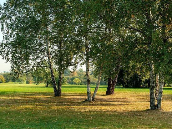 В Омской области жители высадили в «Садах памяти» 380 тысяч деревьев