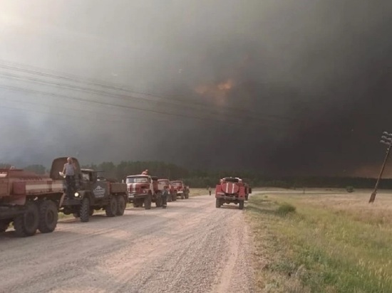 В одном из районов Алтайского края вспыхнул мощный лесной пожар