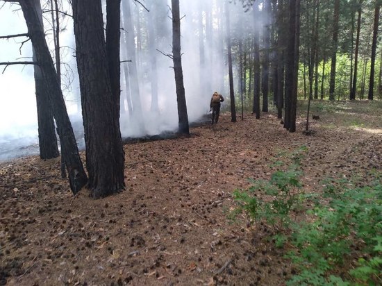 В Баргузинском районе Бурятии произошёл лесной пожар