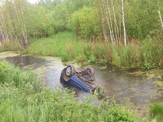 Двое пассажиров утонули в луже после ДТП под Новосибирском