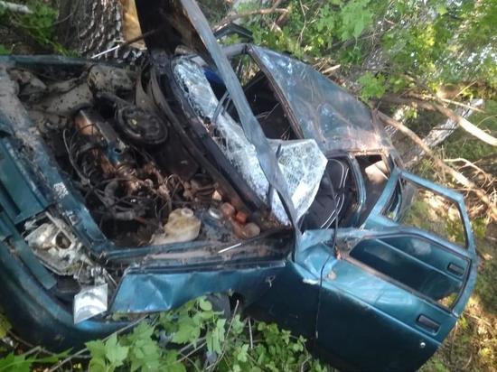 В Омске из-за не имеющего прав водителя пострадало несколько человек