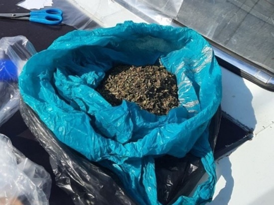 Более 70 кг марихуаны изъяли полицейские в Забайкалье за 10 дней