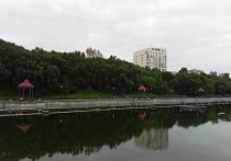 Жители Хабаровска обеспокоены тем, что в мэрии рассматривают вопрос об отмене публичных слушаний перед застройкой рекреационных зон, одной из которых является участок около городских прудов, примыкающий к парку «Динамо»