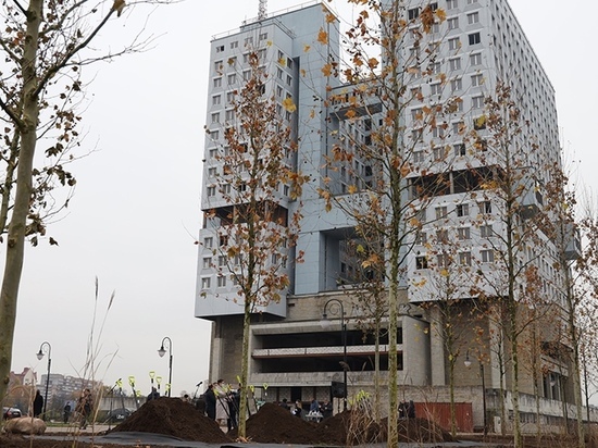 Калининградские власти проведут новый архитектурный конкурс по застройке участка у Дома Советов