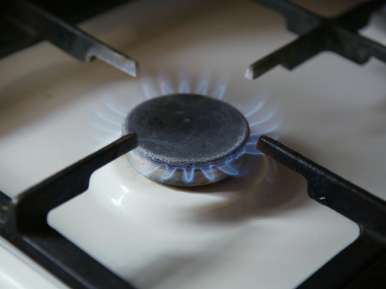 В Германии заявили, что смогут прожить без российского газа всего 2,5 месяца