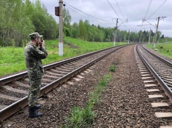 Двое школьников из Тамбовской области погибли на железной дороге