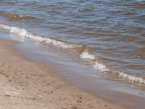 На пляжах в Волгоградской области обнаружили паразитов