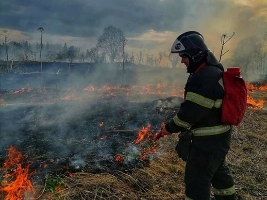 В Таганроге среди выгоревшей травы обнаружили труп 19-летнего парня
