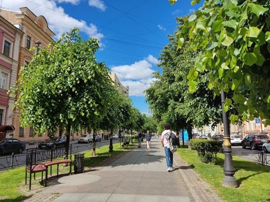 В Петербурге 24 июня может стать самым теплым днем с начала 2022 года