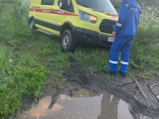 Скорая помощь увязла в грязи по дороге в деревню Карелии