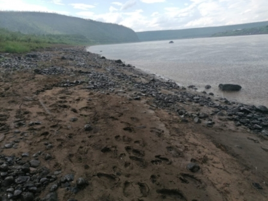 На севере Красноярского края найдено тело подростка, утонувшего 3 дня назад