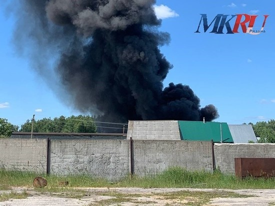 МЧС рассказали подробности пожара на пилораме в Криуше