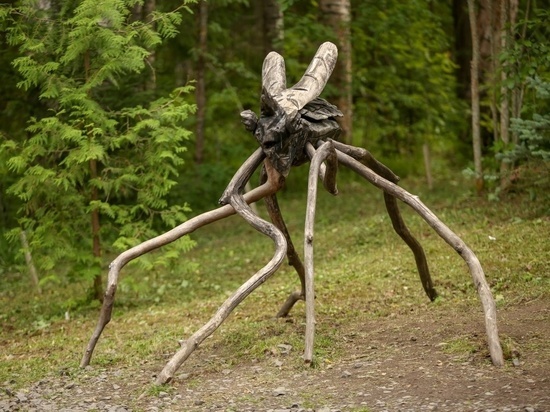 Огромный комар обитает в заповеднике Карелии