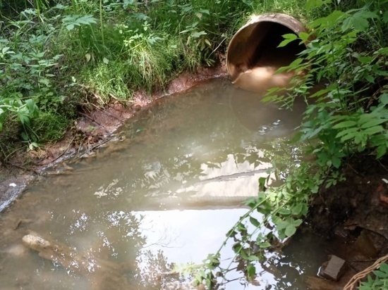 Экомилиция выяснит, кто сливал нечистоты в реку Охта во Всеволожском районе