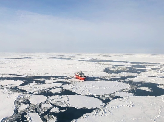 Губернатор НАО принял участие в заседании Государственной комиссии по вопросам развития Арктики