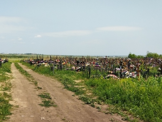 В Саратове нашли нелегальное кладбище