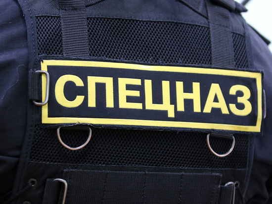 Активисты "Стопхама" обвинили "силовиков-автохамов" в избиении: "Сел сверху"