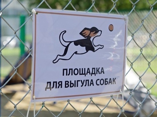В Ярославле собачьи площадки будут делать «Крепыши»