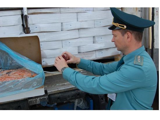 Смоленская таможня пресекла контрабанду 20 тонн лосося
