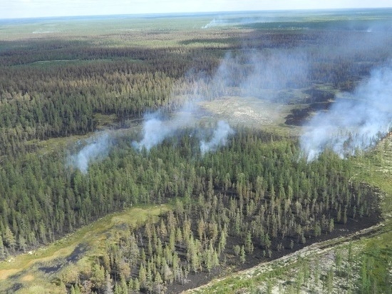 В Надымском районе ввели режим ЧС из-за лесных пожаров