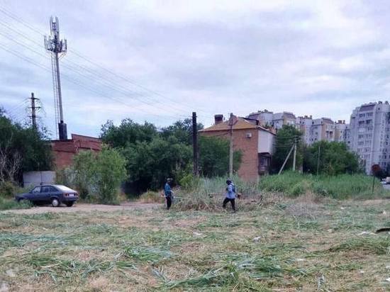 В Астрахани скосили белее миллиона квадратных метров сорняка