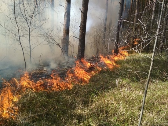 Леса горят в 5 районах Ямала из-за гроз