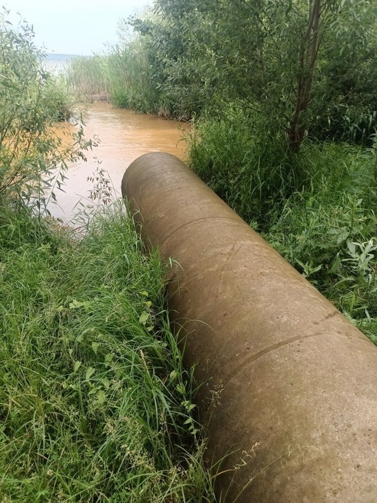 Жители Отрожки обнаружили трубу, сливающую нечистоты в реку Воронеж