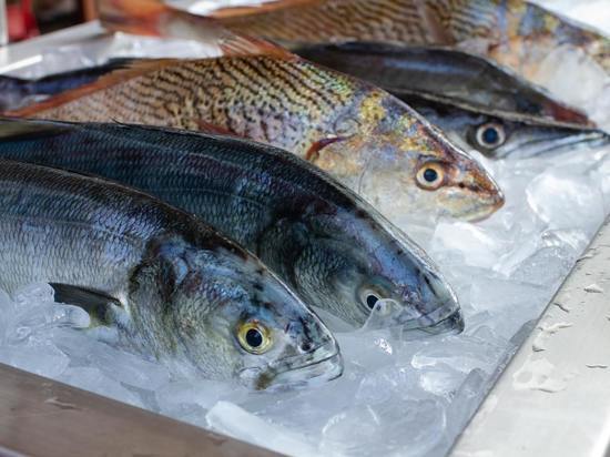 Роспотребнадзор по Калининградской области рассказал, как избежать рисков, связанных с употреблением рыбы и рыбной продукции.