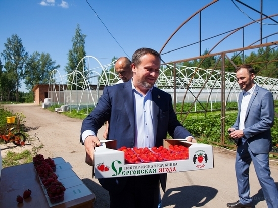Андрей Никитин посетил фермерское хозяйство и попробовал новгородскую клубнику