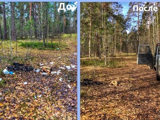В Ленобласти очистили около 100 кубометров лесов от мусора