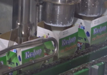 Для сложной техники, благодаря которой на полках магазинов появляется молоко, творог, сливочное масло, требуются комплектующие, в том числе импортные