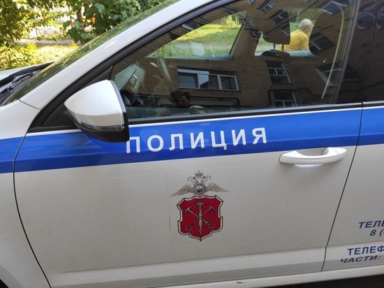 Ударившего пассажира топориком для разделки мяса таксиста задержали в петербургском магазине